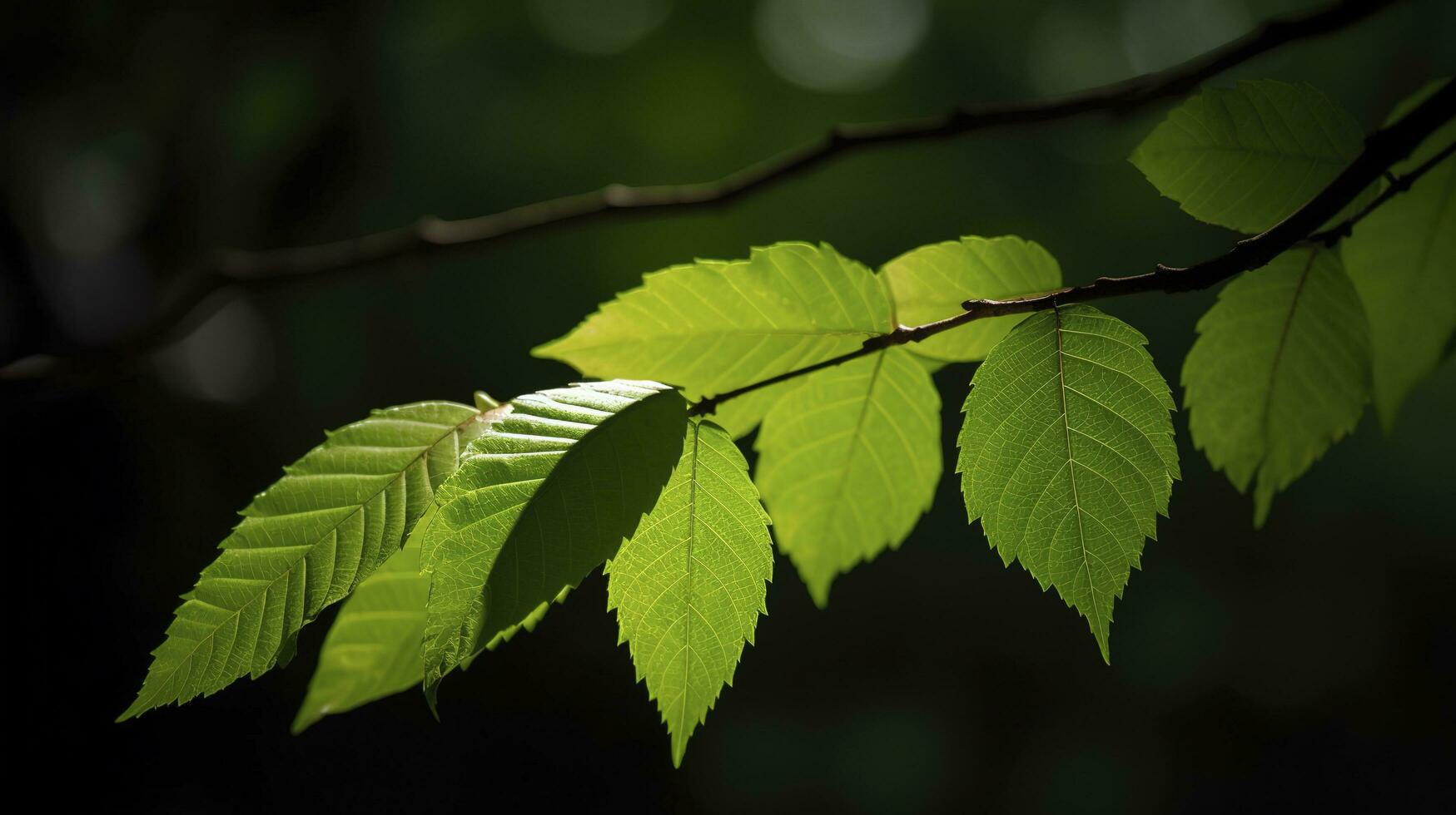 Earth Day and World Environment Day, Spring, Tropical tree leaves and branch with beautiful green forest background, generate ai photo