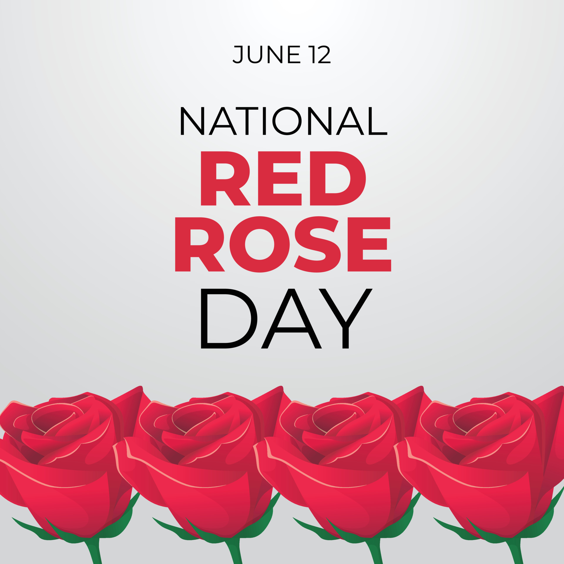 national red rose day design template. red rose illustration. rose ...