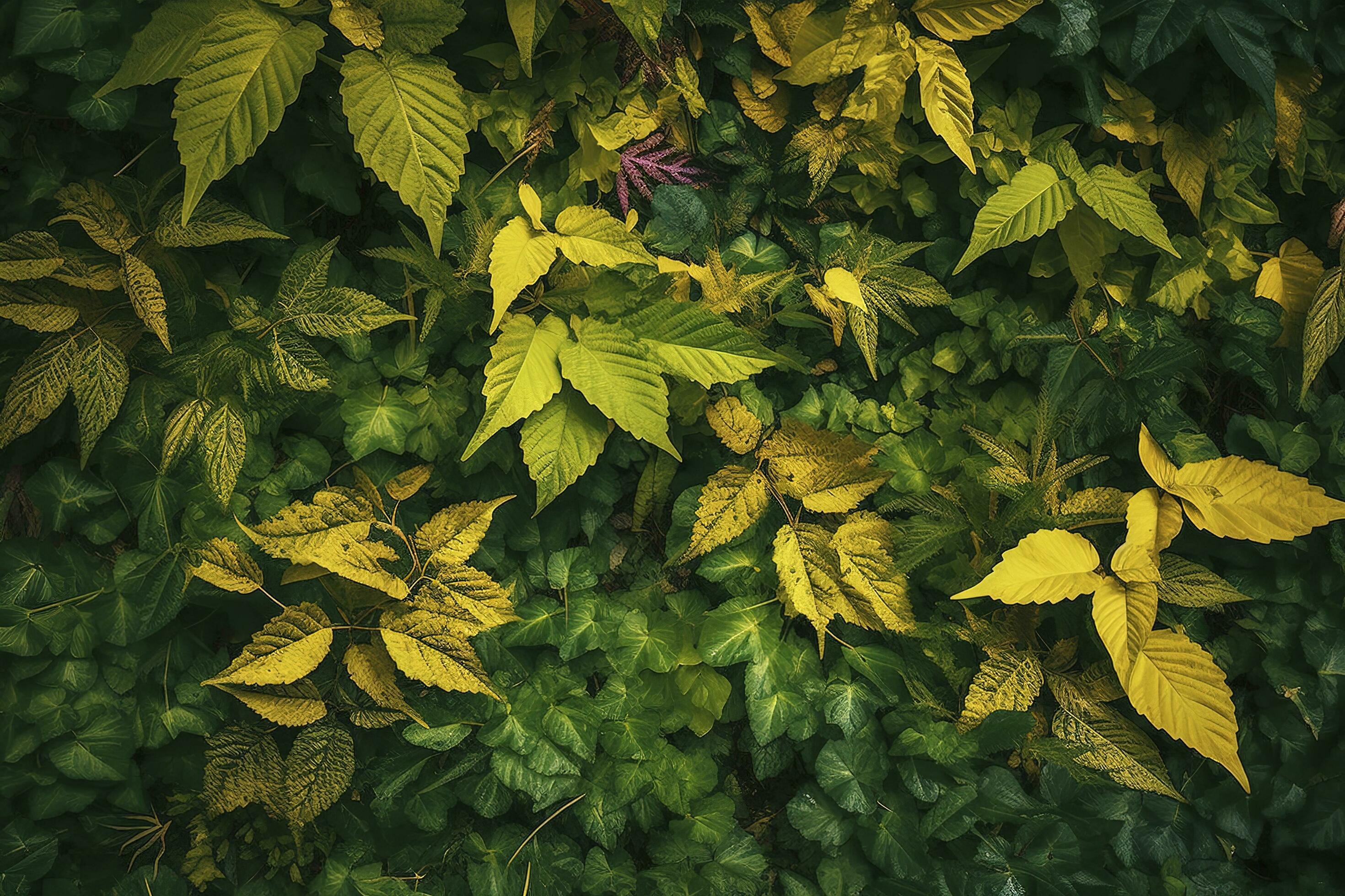 Foliage background with a variety of vibrant plant leaves showing