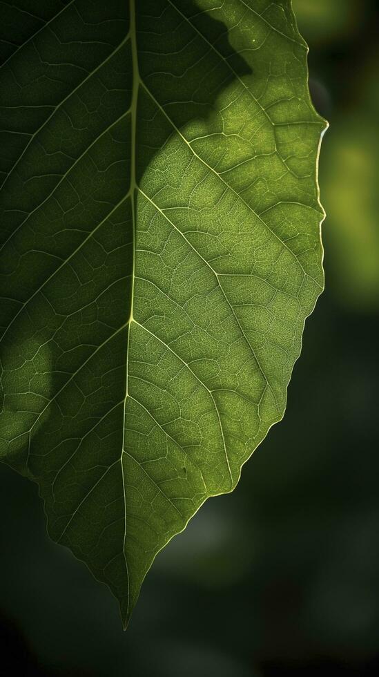 Earth Day and World Environment Day, Spring, Beautiful Natural fresh green leaf, relaxation nature concept, generate ai photo