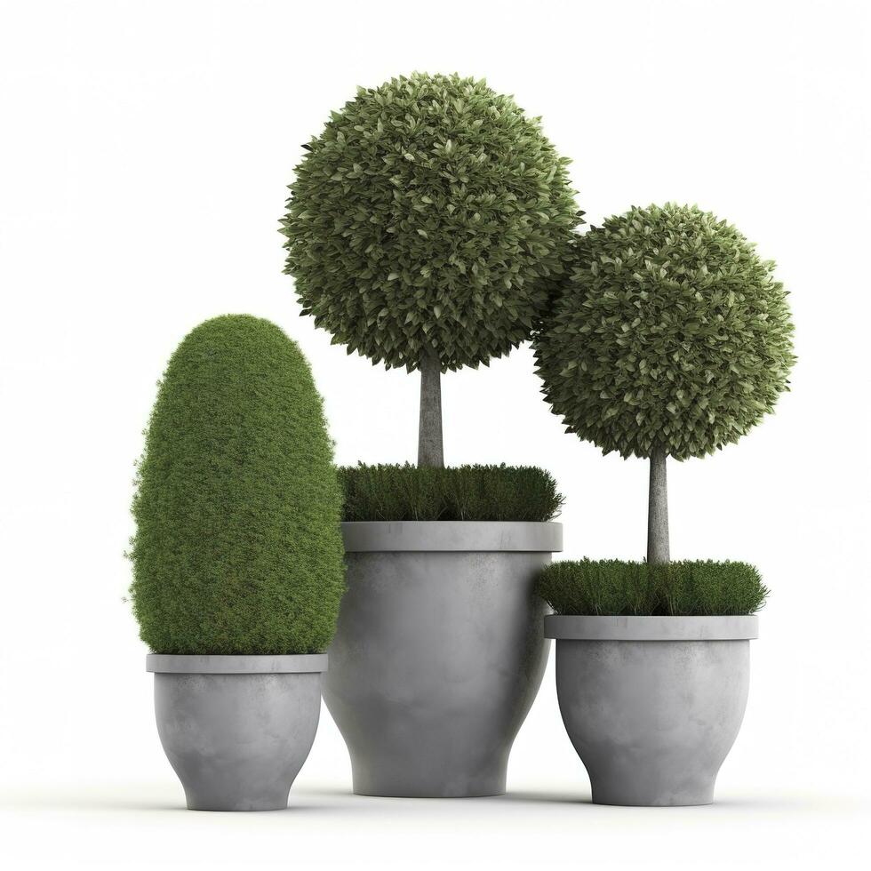 Topiary trees in the pot isolated on white background. 3D Rendering, 3D Illustration, generate ai photo