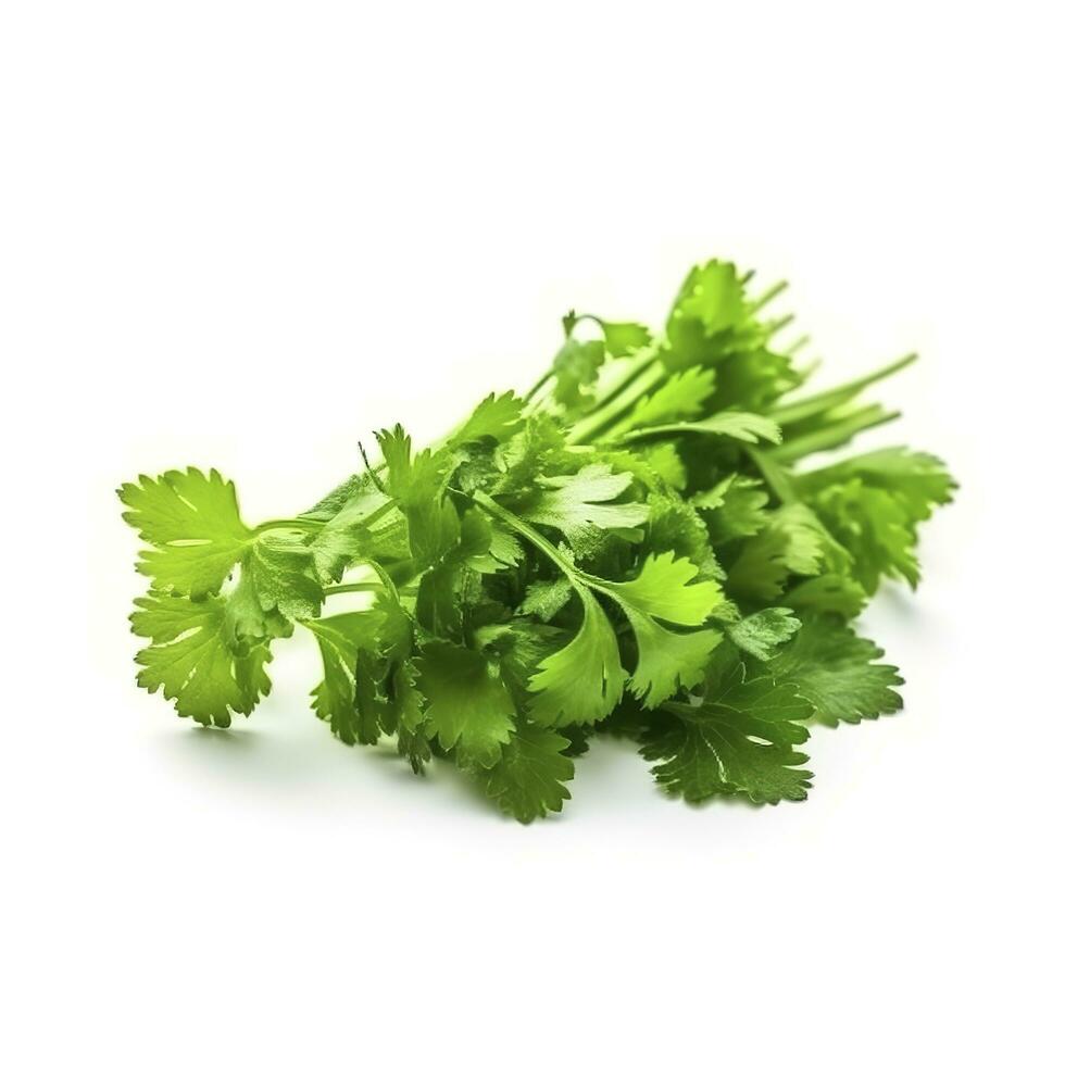 fresh cilantro coriander isolated on white background, generate ai photo