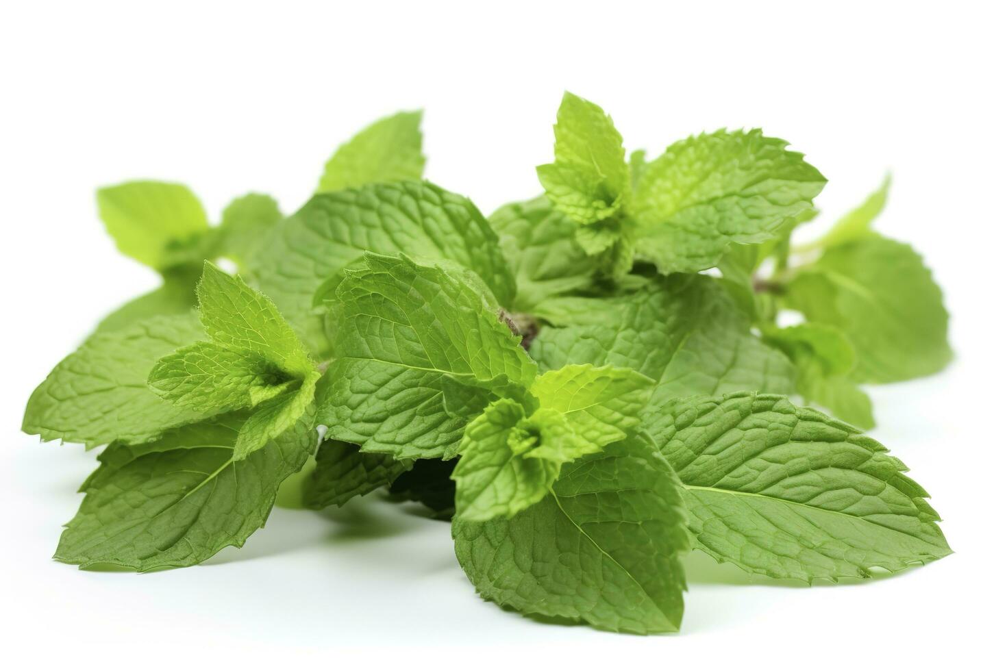 fresh green mint leaves isolated on white background, top view. Flat lay, generate ai photo