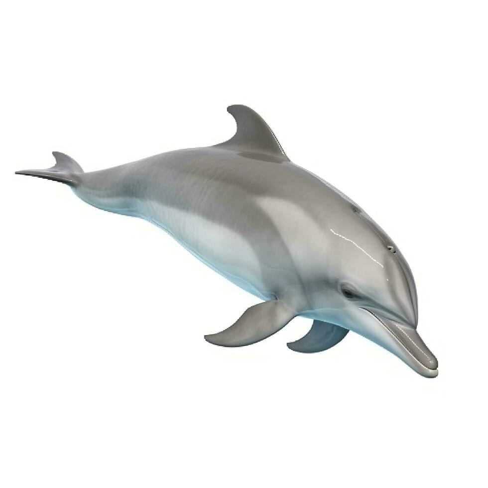 Dolphin isolated on white background, generate ai photo