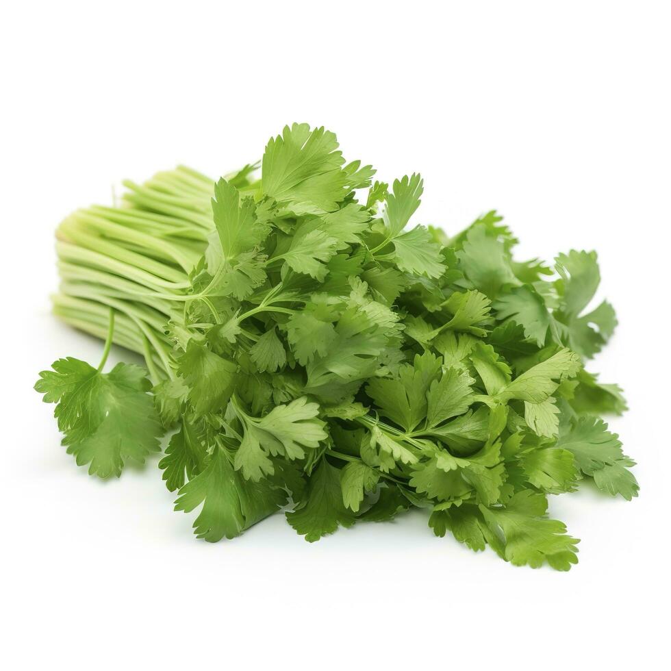 fresh cilantro coriander isolated on white background, generate ai photo