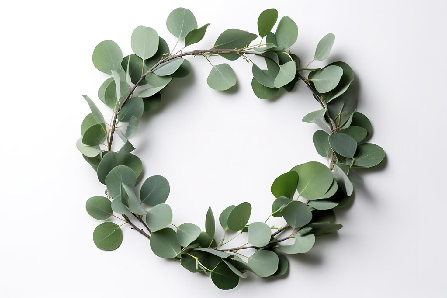 Wreath made of eucalyptus branches. Green floral frame made of eucalyptus leaves. Decorative wreath isolated on white. Minimal natural composition, botanical design, flat lay, top view. photo