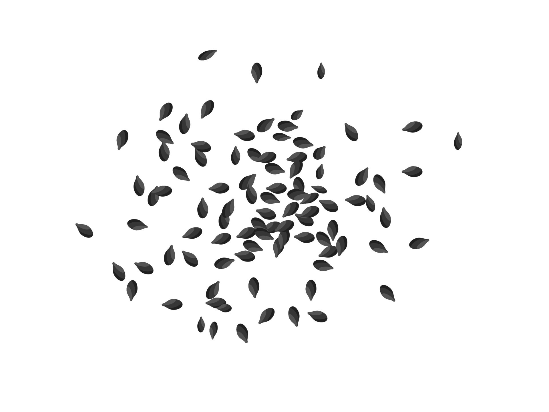 Top view of black sesame seeds scatter over the cut out background