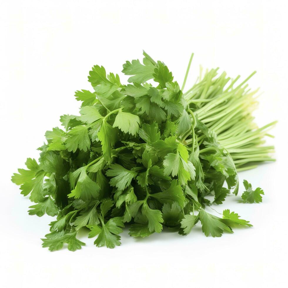 fresh cilantro coriander isolated on white background, generate ai photo