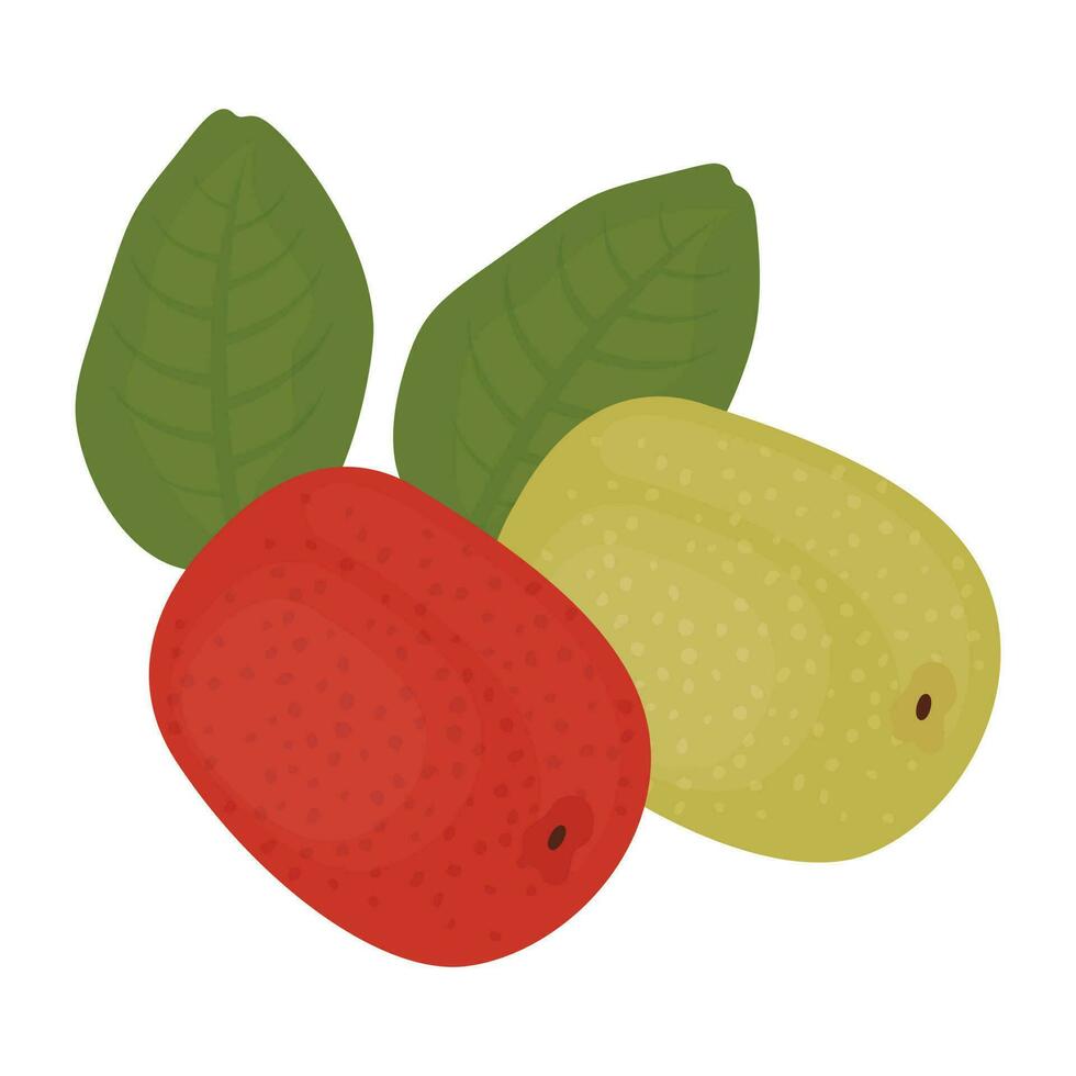 Icon of fresh fruit having leaves depicting berries vector