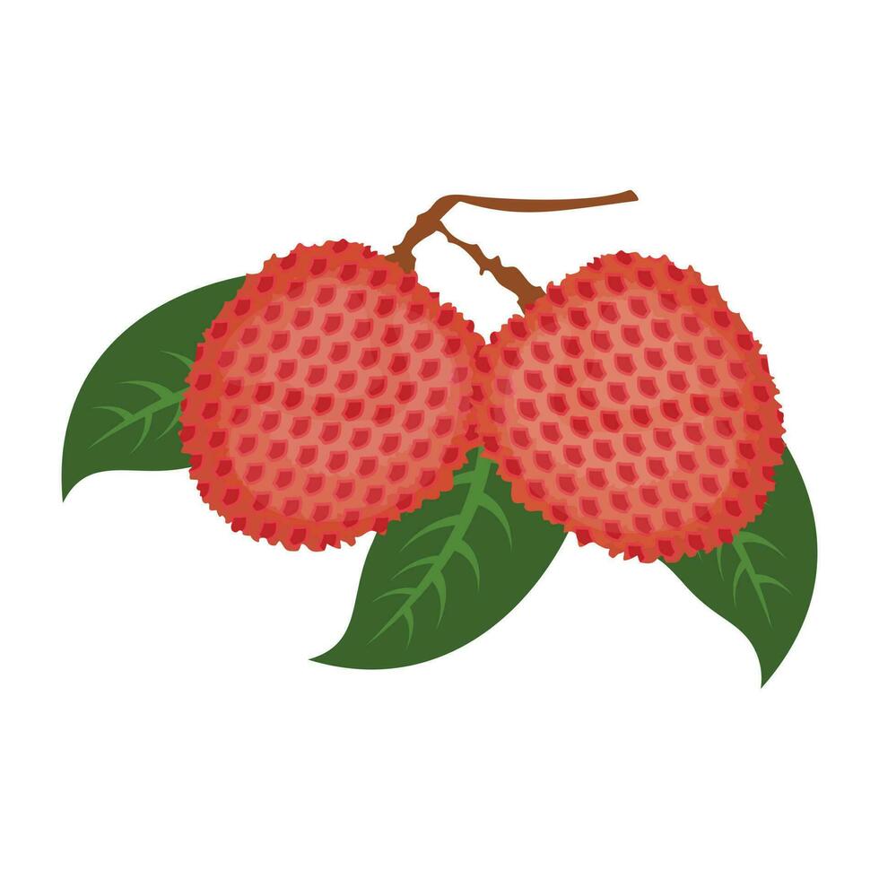 Icon of a fresh fruit with leaves depicting lychee vector