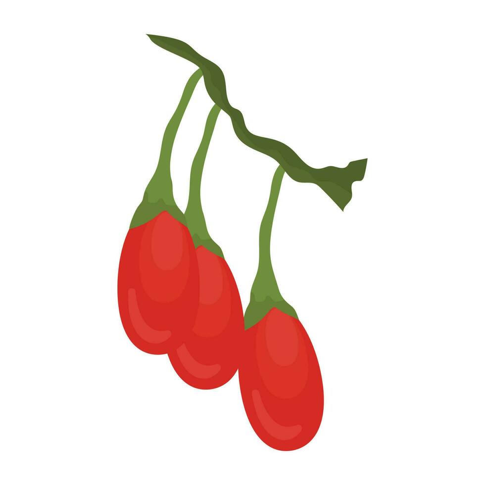 A set of berries hanging from a stem depicting goji berries vector