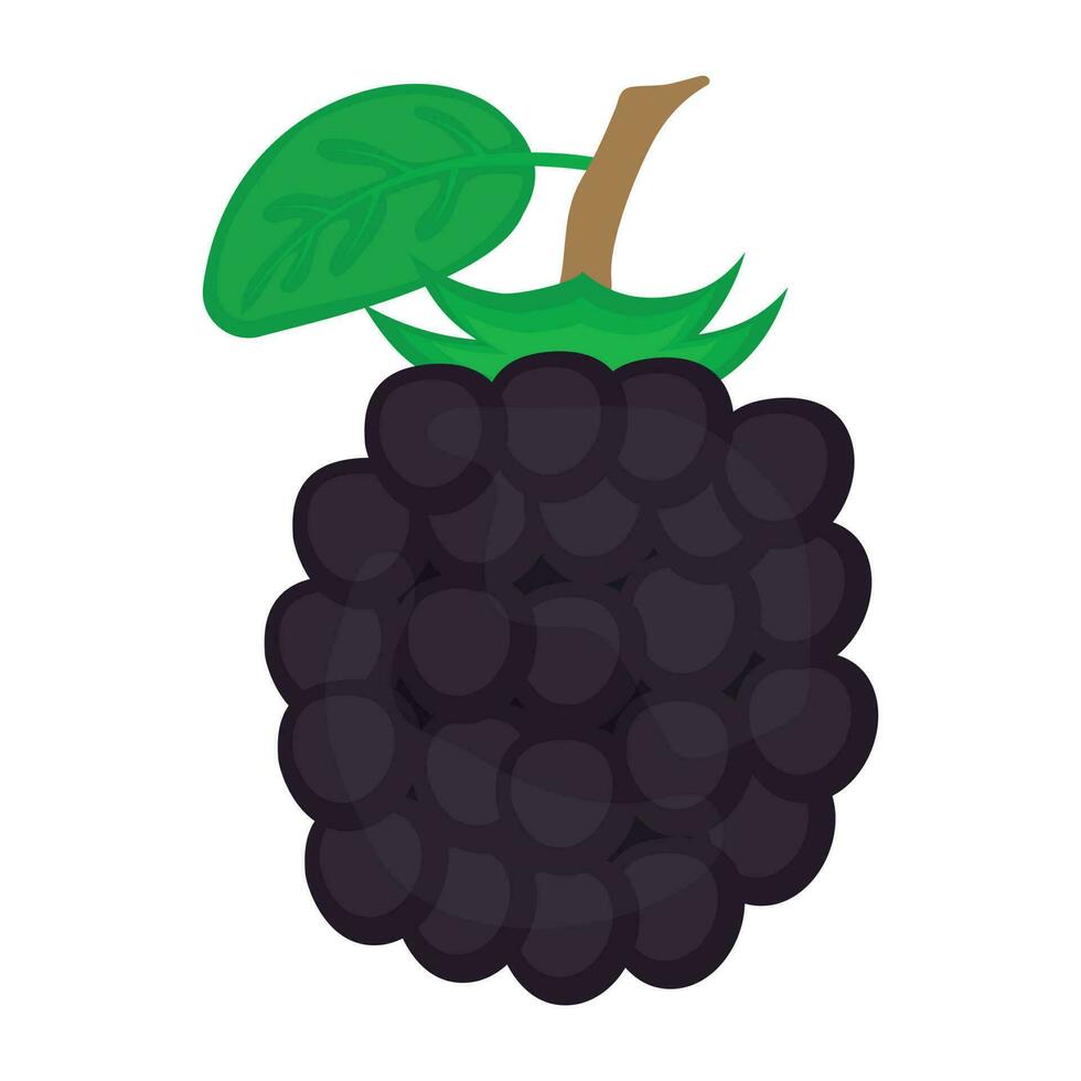 Bunch of grapes with leaf depicting wine grapes vector