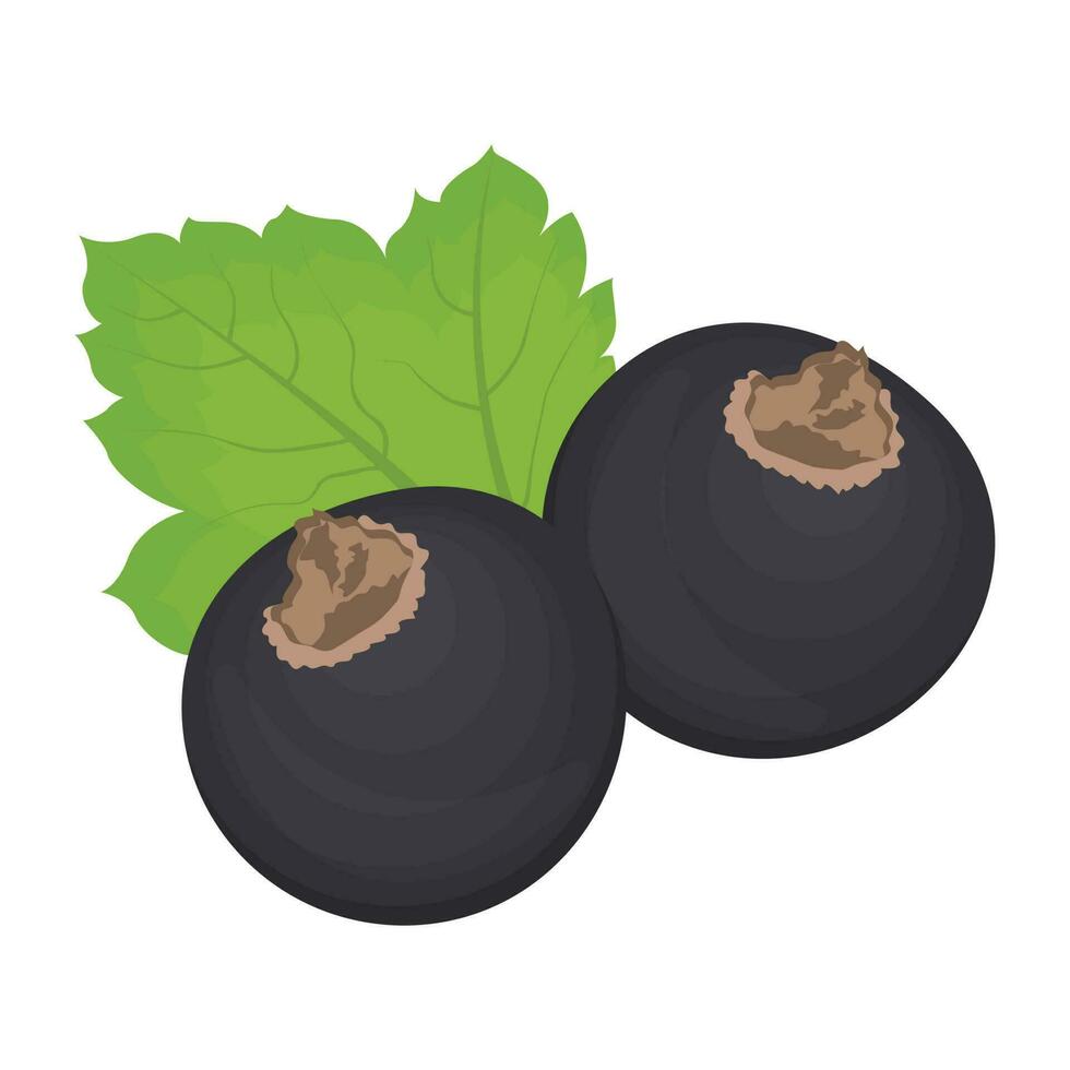 A pair of fresh fruit with leaf depicting bilberry vector