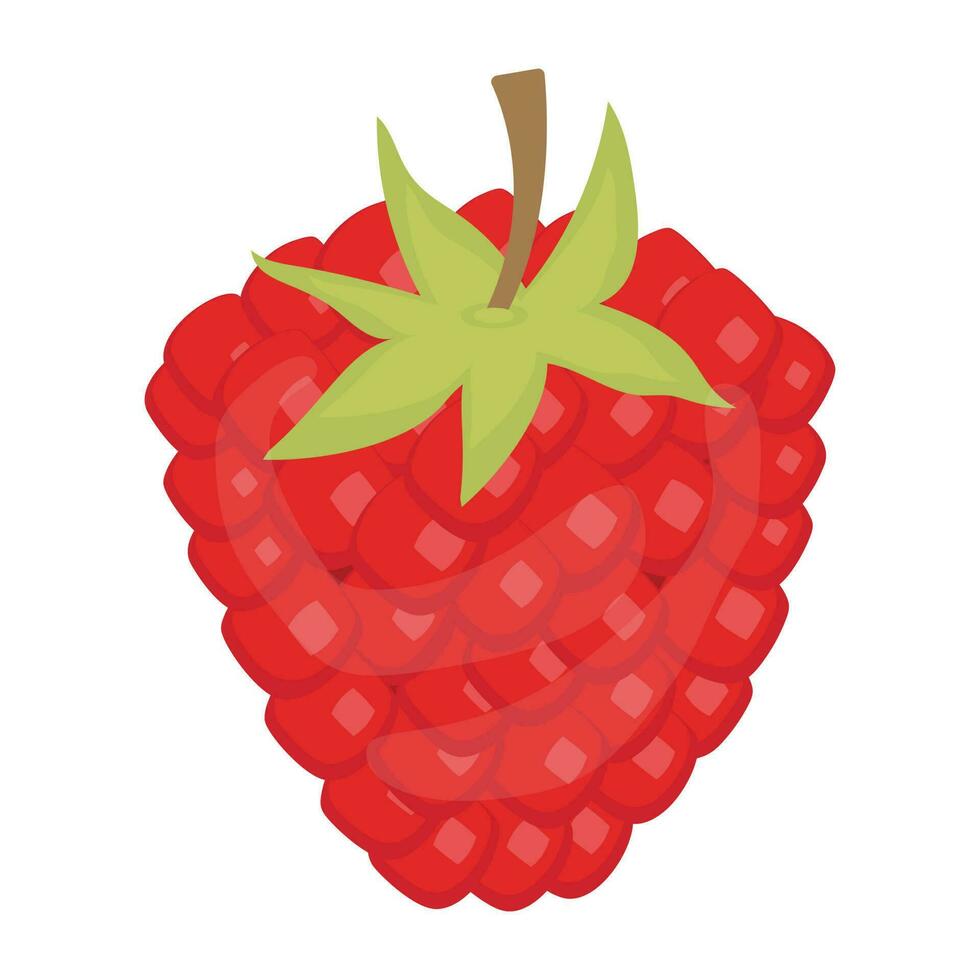 A fresh juicy piece of strawberry vector