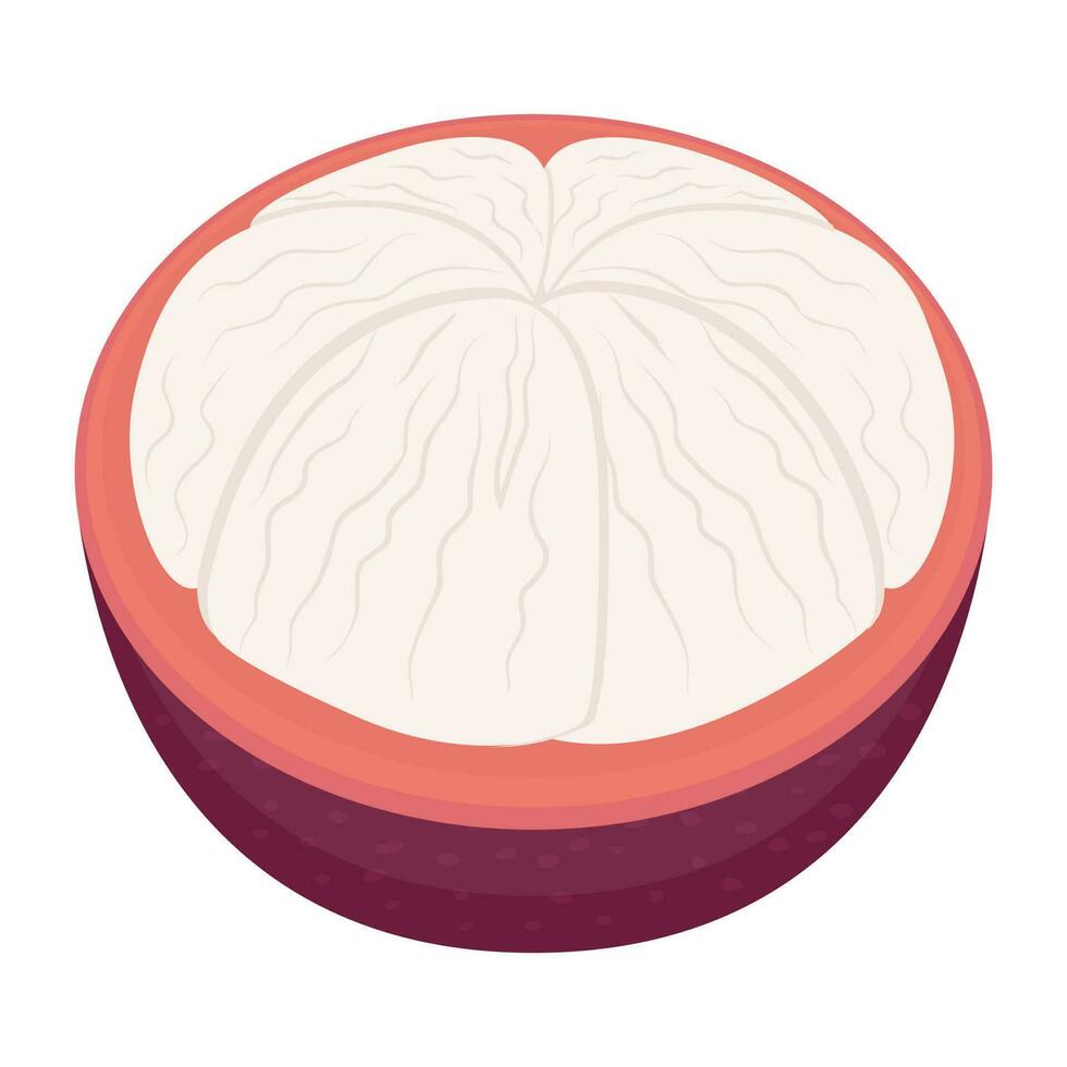 Icon of fresh round shaped tropical fruit, mangosteen vector