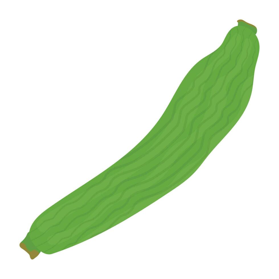 Long green uneven thickness shaped vegetable denoting bottle gourd vector