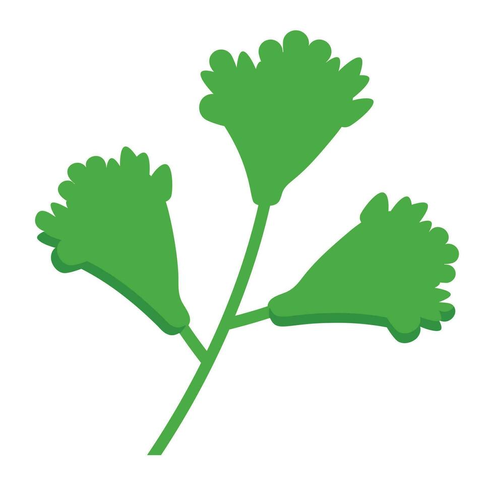 Stem of a Leafy grass making icon for coriander vector