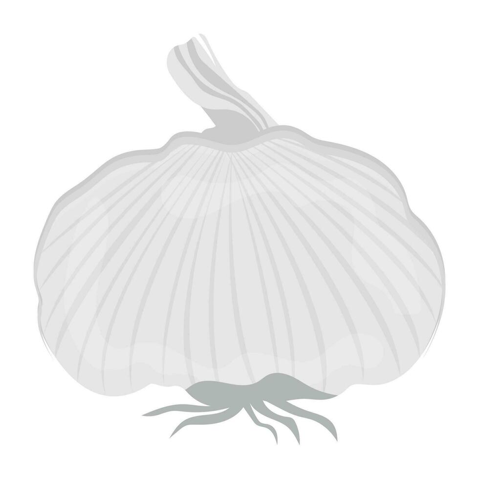 Bulb with cloves of white tone shaping garlic bulb icon vector