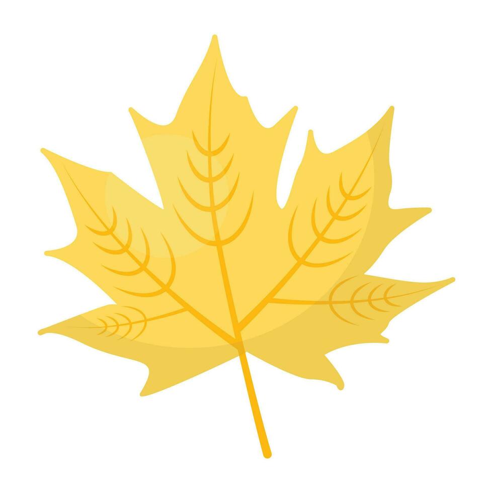 An autumn leaf structure for maple leaf icon vector