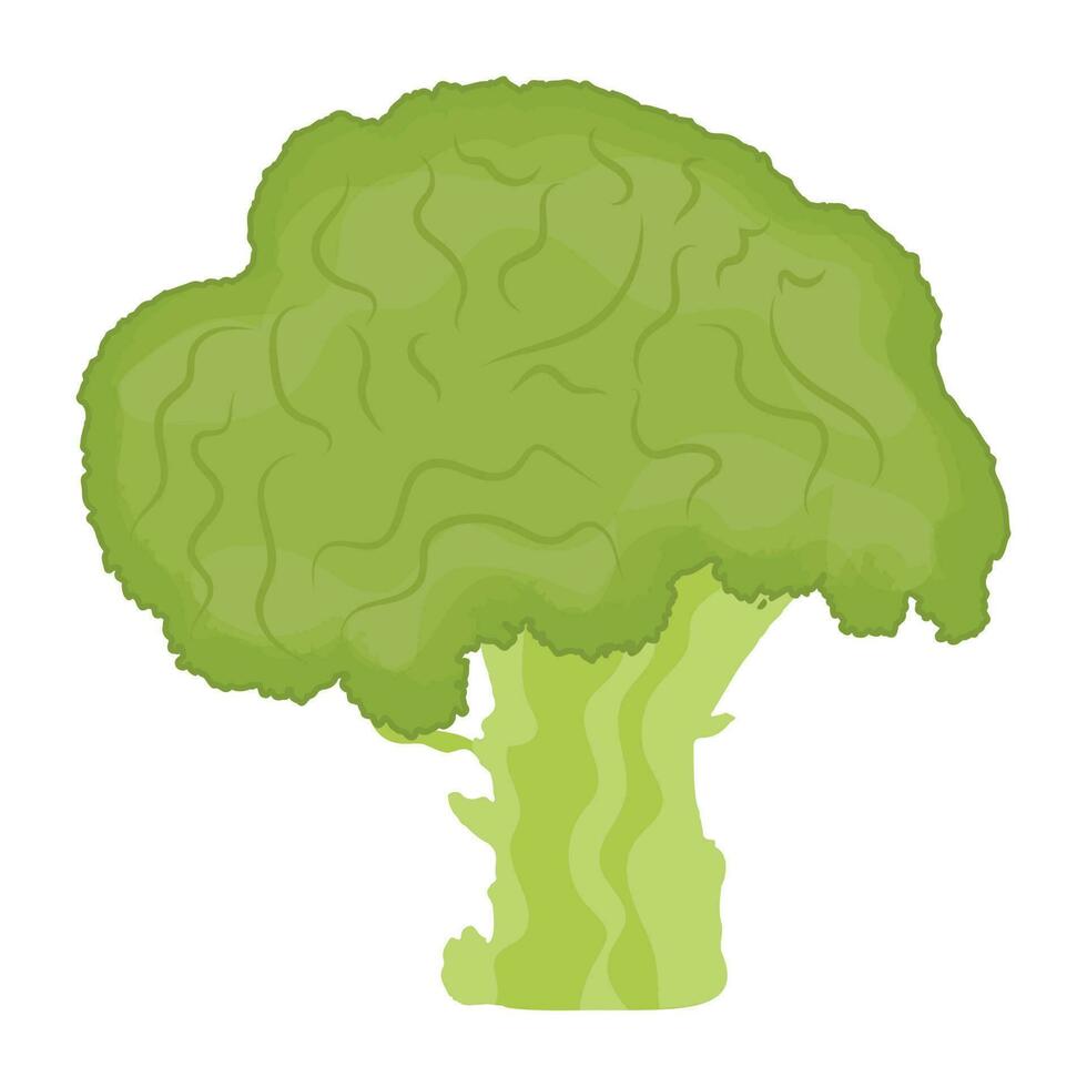 árbol conformado vegetal es demostración brócoli icono vector