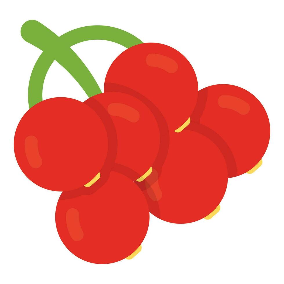 A bouquet of ripe red round berries to offer icon for bunch of cherries vector
