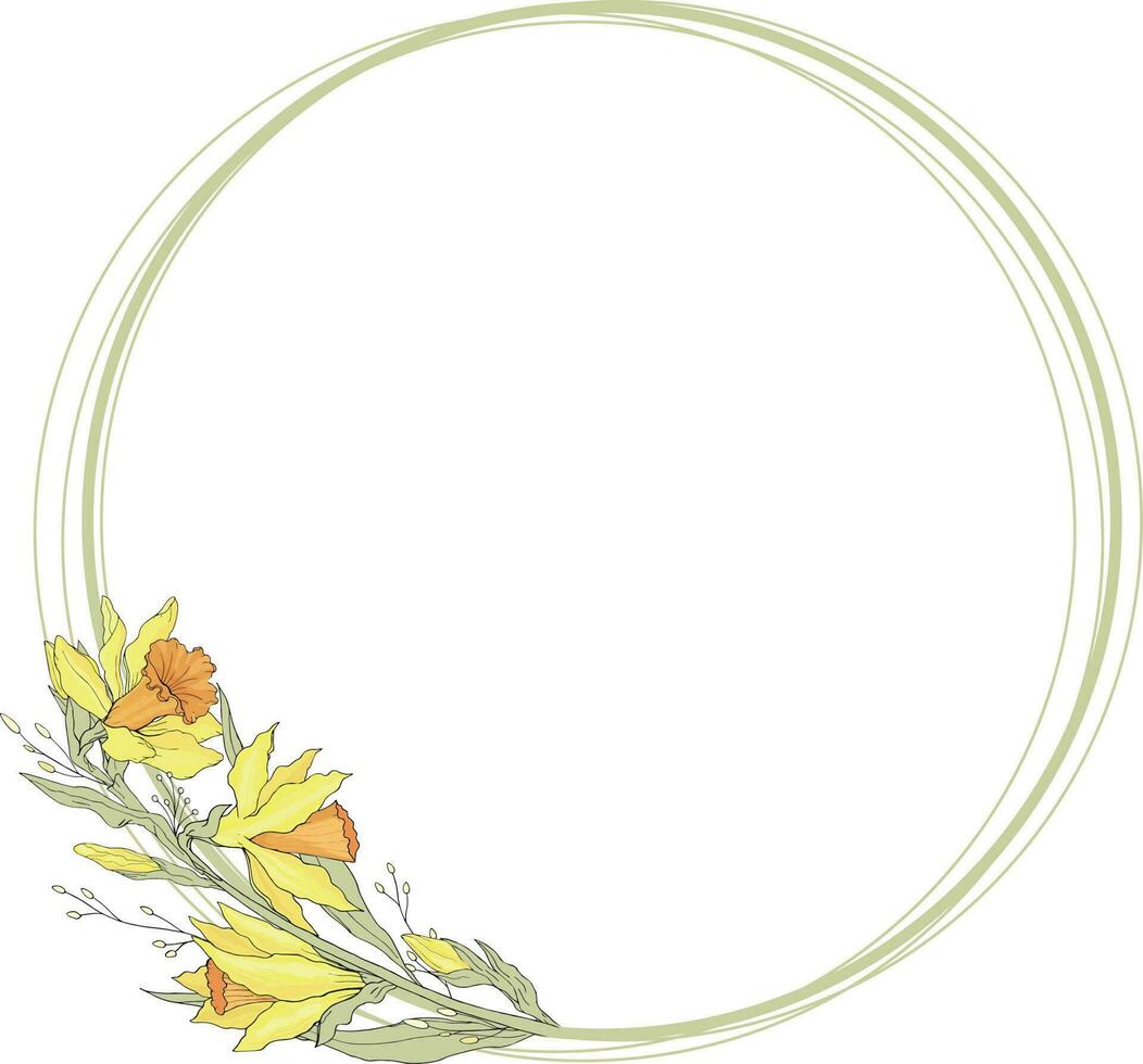Green round floral frame with narcissus. Botanical template with flowers vector