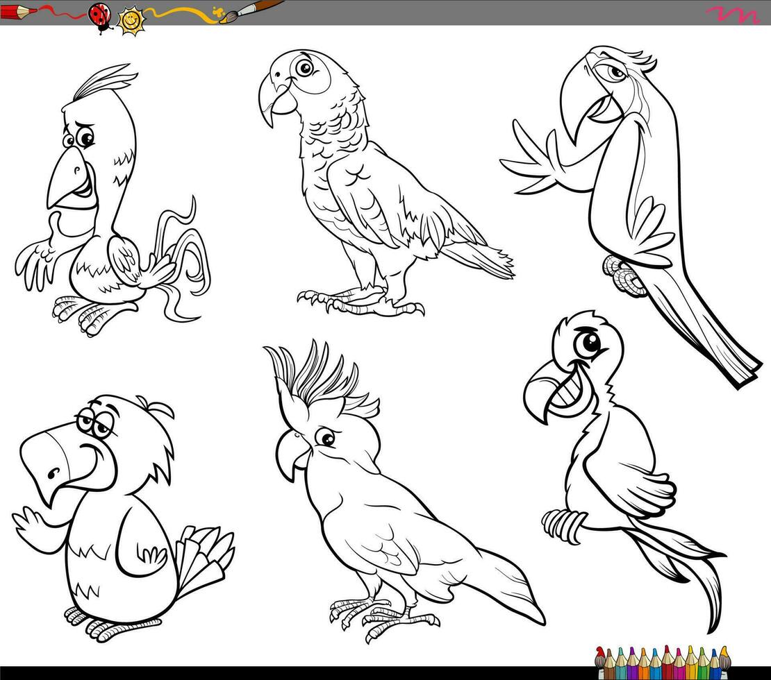 cartoon parrots birds animal characters set coloring page vector