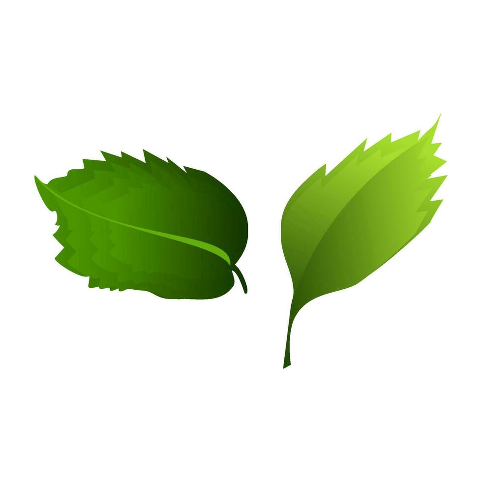 Set of watercolor green leaves elements. Collection botanical vector isolated on white background suitable for Wedding Invitation, save the date, thank you, or greeting card.