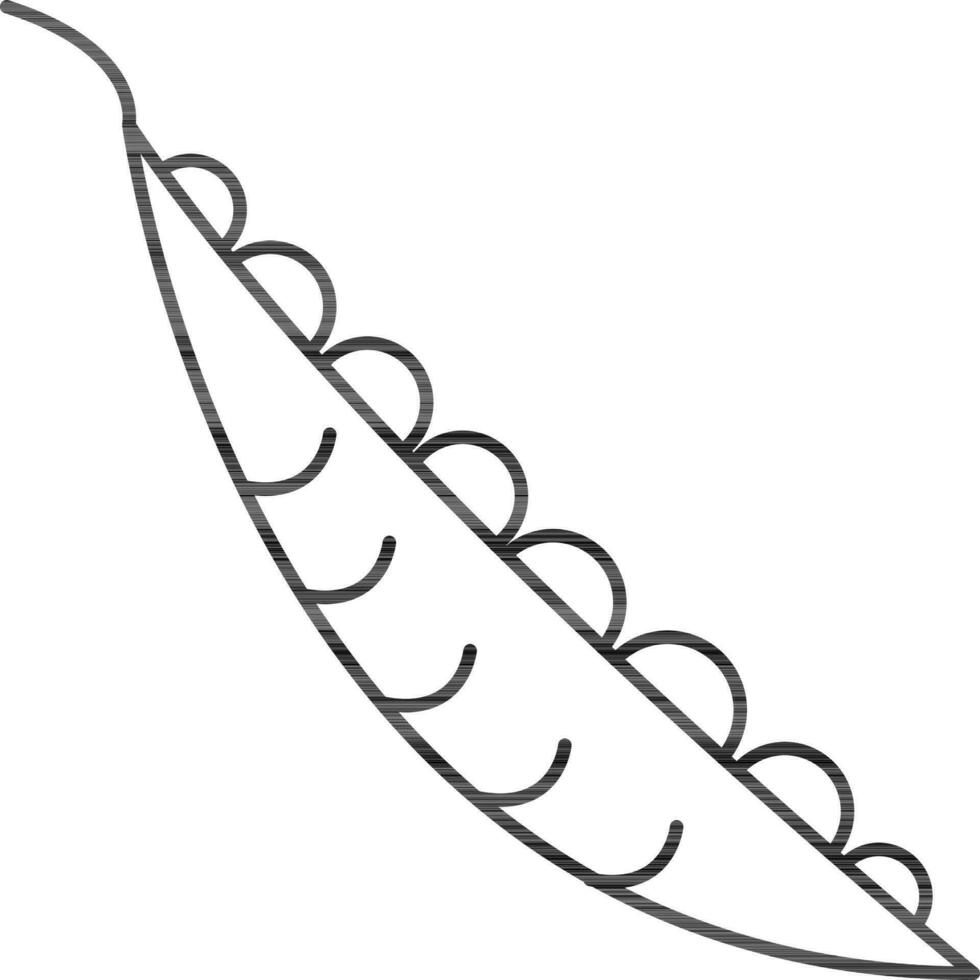 Thin Line Art Pea Flat Icon. vector