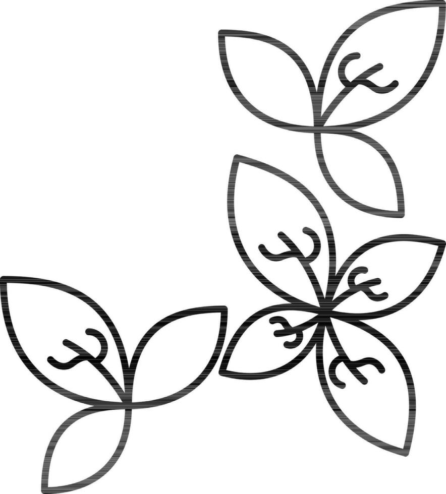 Basil Or Mint Leaves Thin Line Art Icon. vector