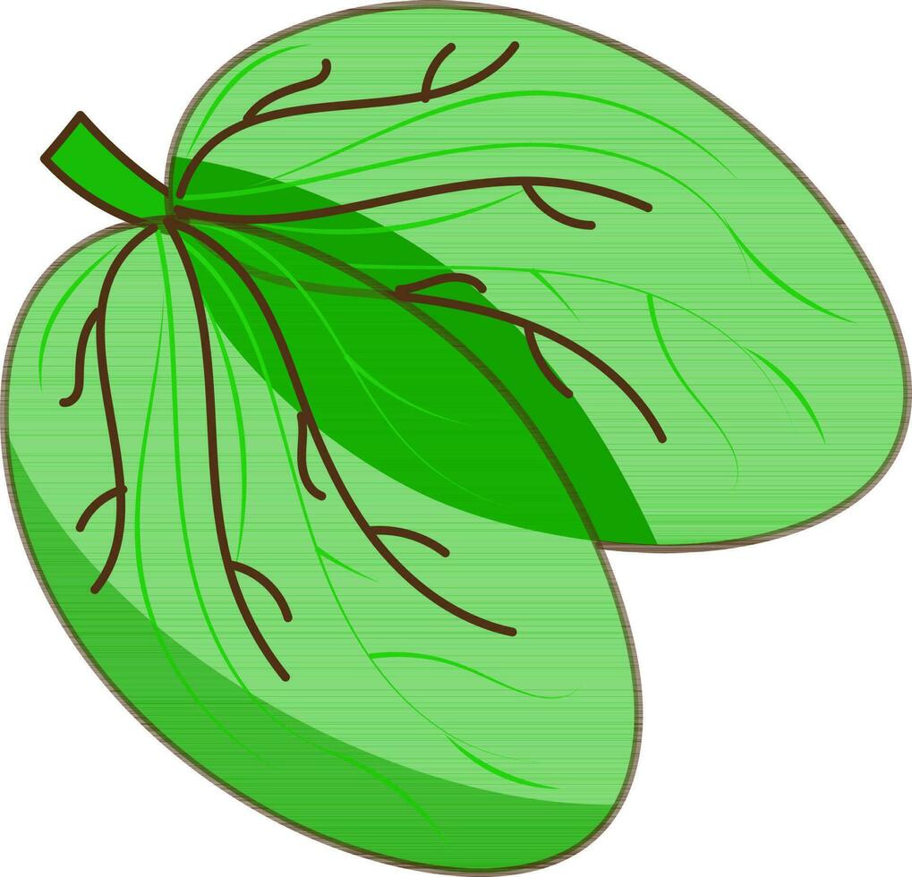 Flat Style Apta Leaf Element In Green Color. vector