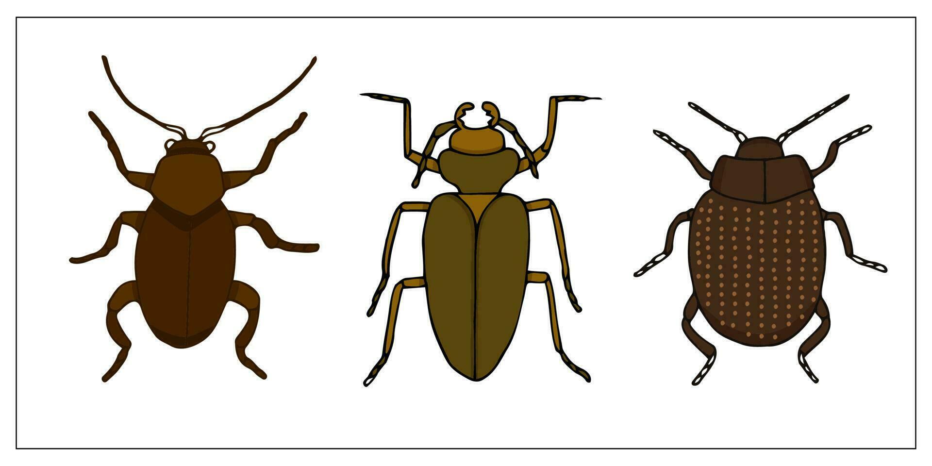 Beetles and bugs. Set of hand-drawn doodle illustration of insects. Scary and realistic bugs. Helloween decoration. vector