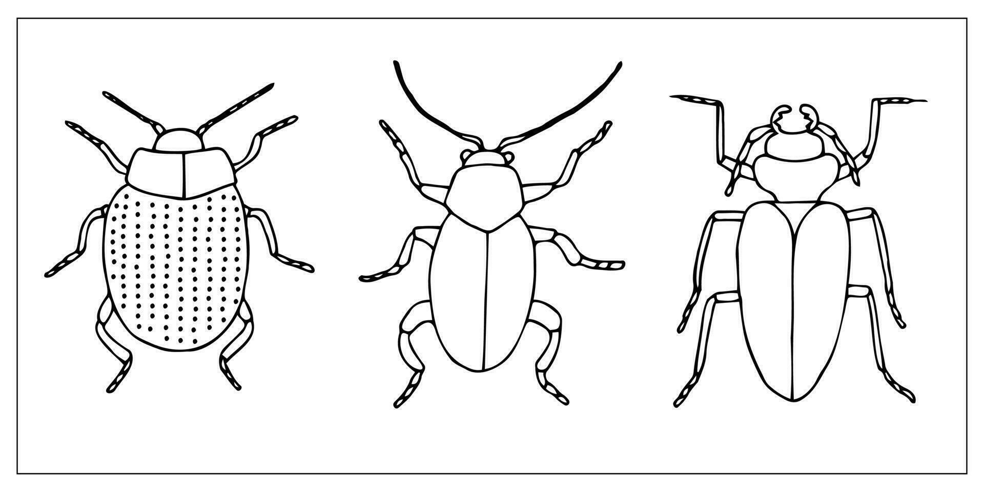 Beetles and bugs. Set of hand-drawn doodle illustration of insects. Scary and realistic bugs. Helloween decoration. vector