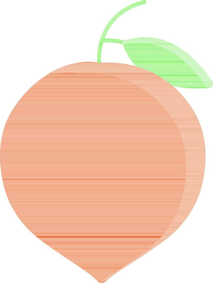 Peach Fruit Icon In Orange And Green Color. vector