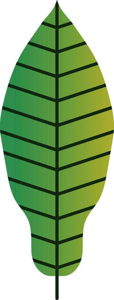 Mango Leaf Icon In Green Color. vector