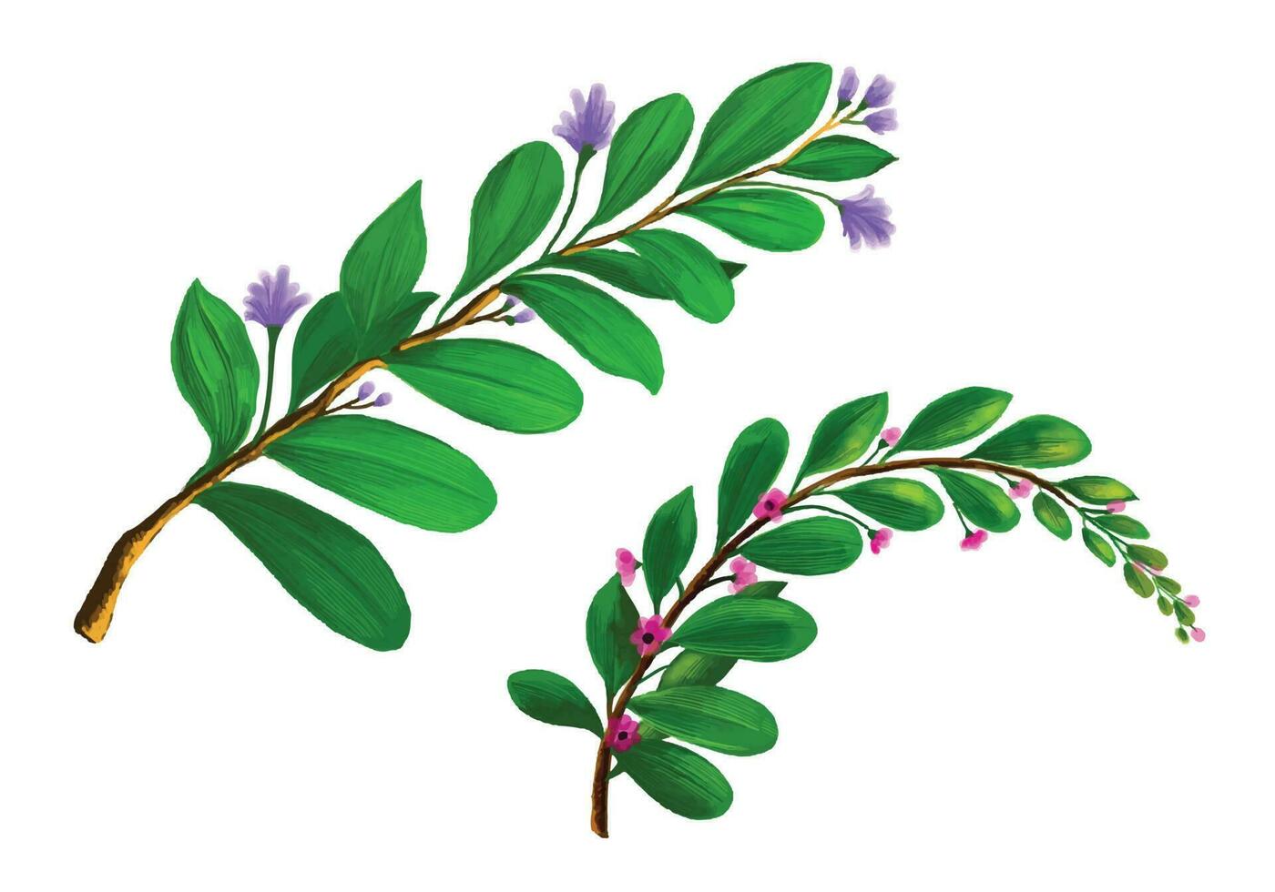 Decorative bunvh plants green leaf design vector