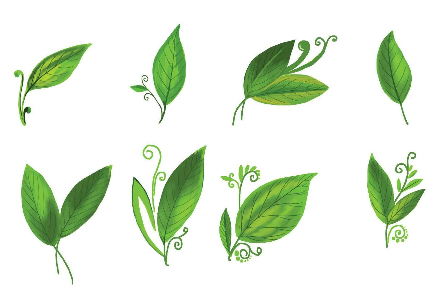 hermosa realista plantas verde hoja conjunto diseño vector