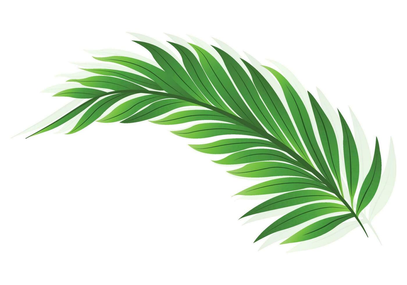 Beautiful decorative green palm leaf illustration design 24464941 Vector Art at Vecteezy
