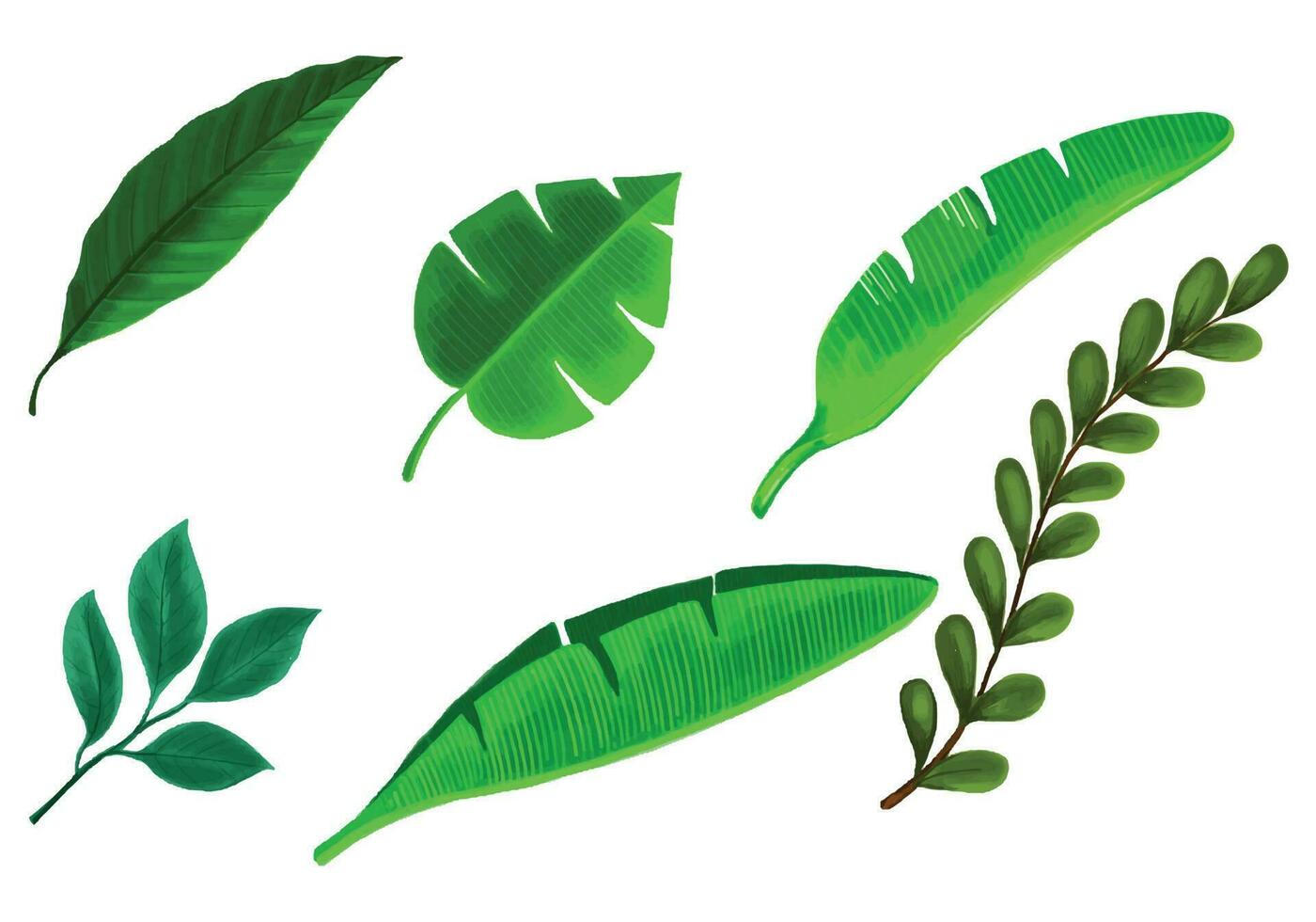 Tropical different type exotic leaves set design vector
