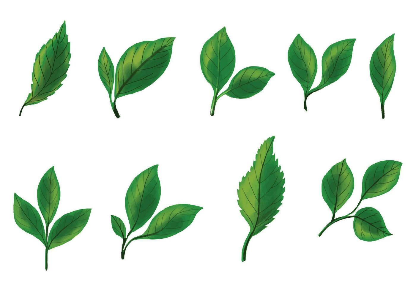 Realistic tropical plants green leaf set design vector