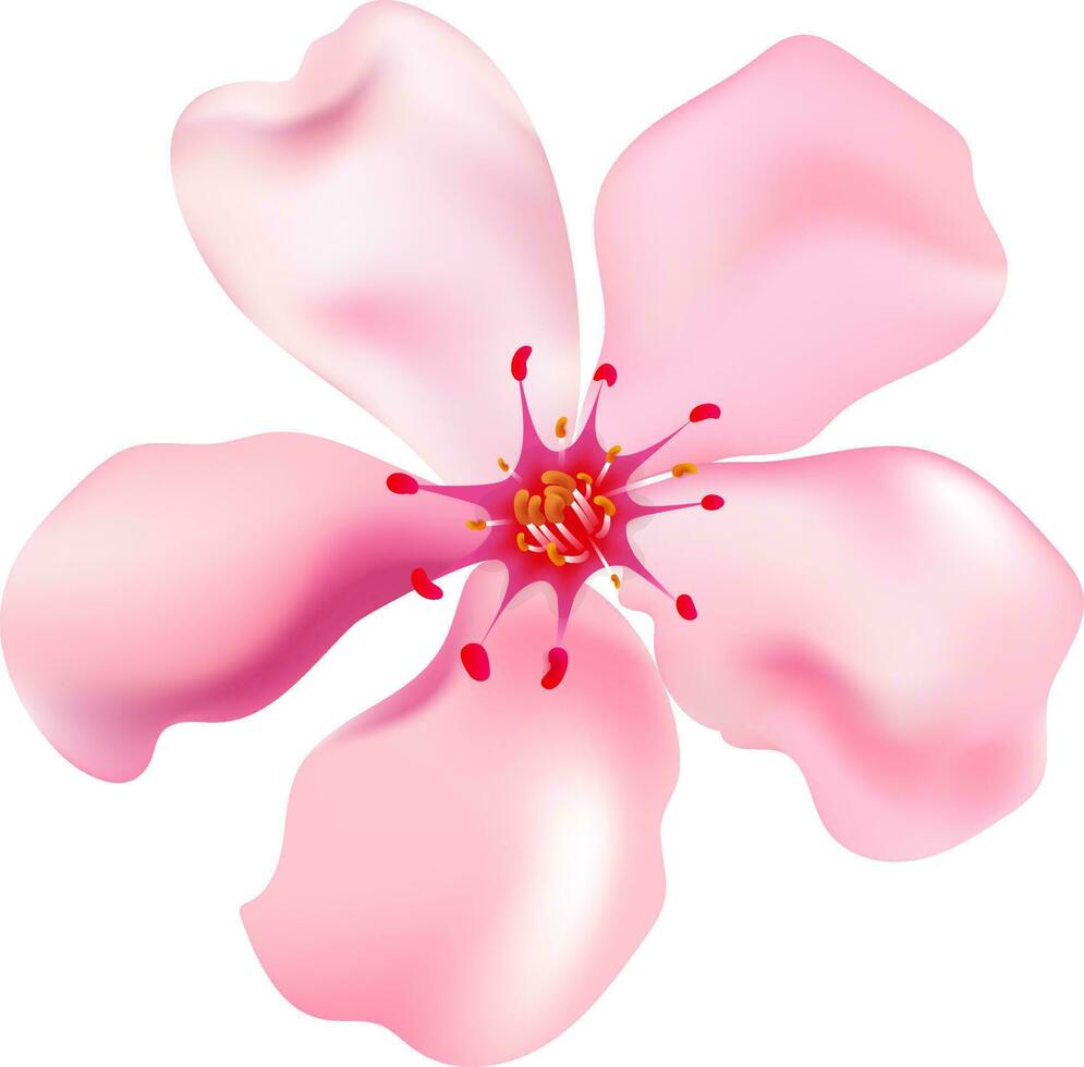 Glossy Cherry Or Sakura Flower Element In Pink Color. vector