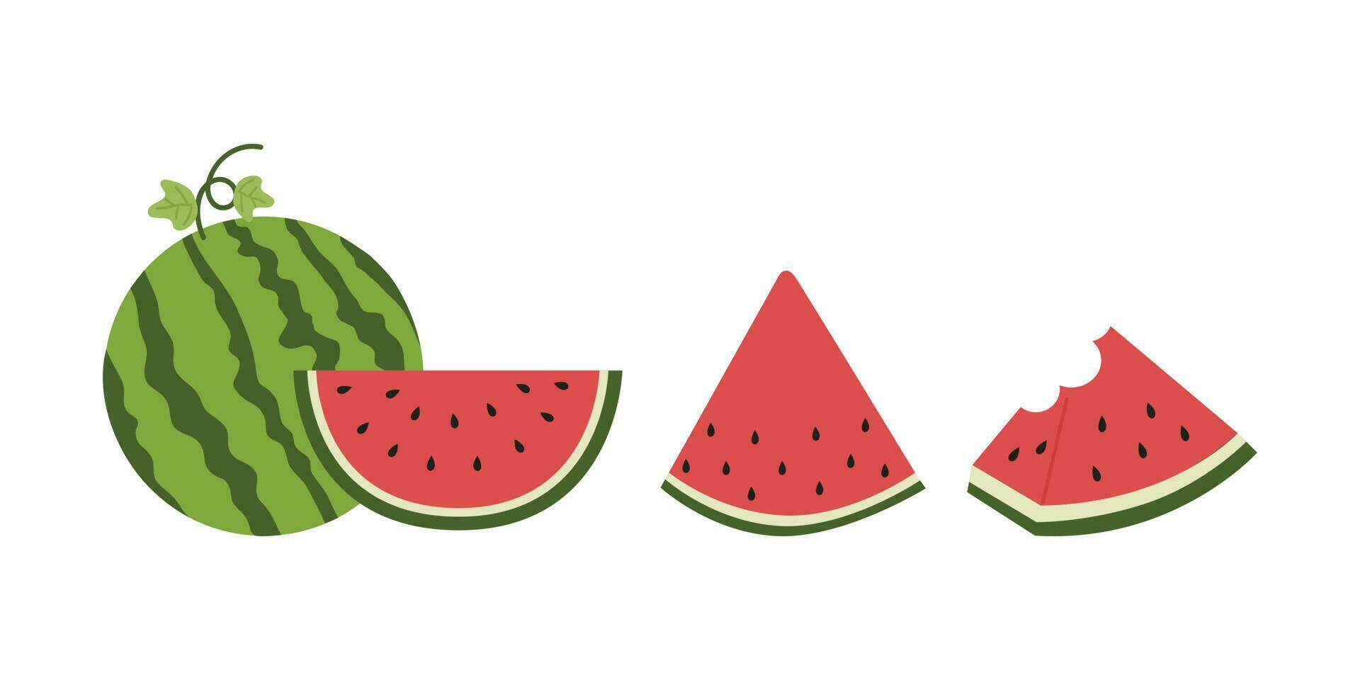 Fresh and juicy whole watermelons and slices illustration. Cartoon fresh green open watermelon. Cartoon fresh green open watermelon half, bites, slices, and triangles. vector