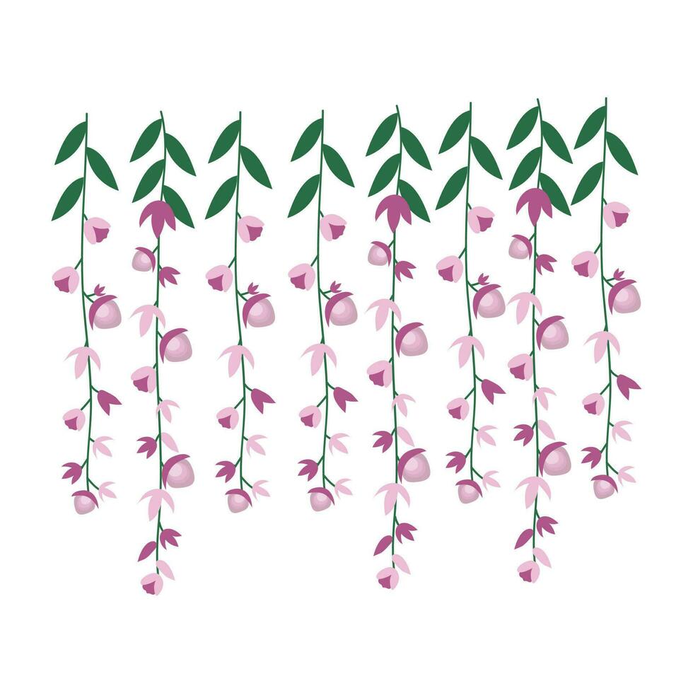 Dangling Flower Element.  Illustration of home hanging leaves of plant String of Nickels isolated on white background. vector