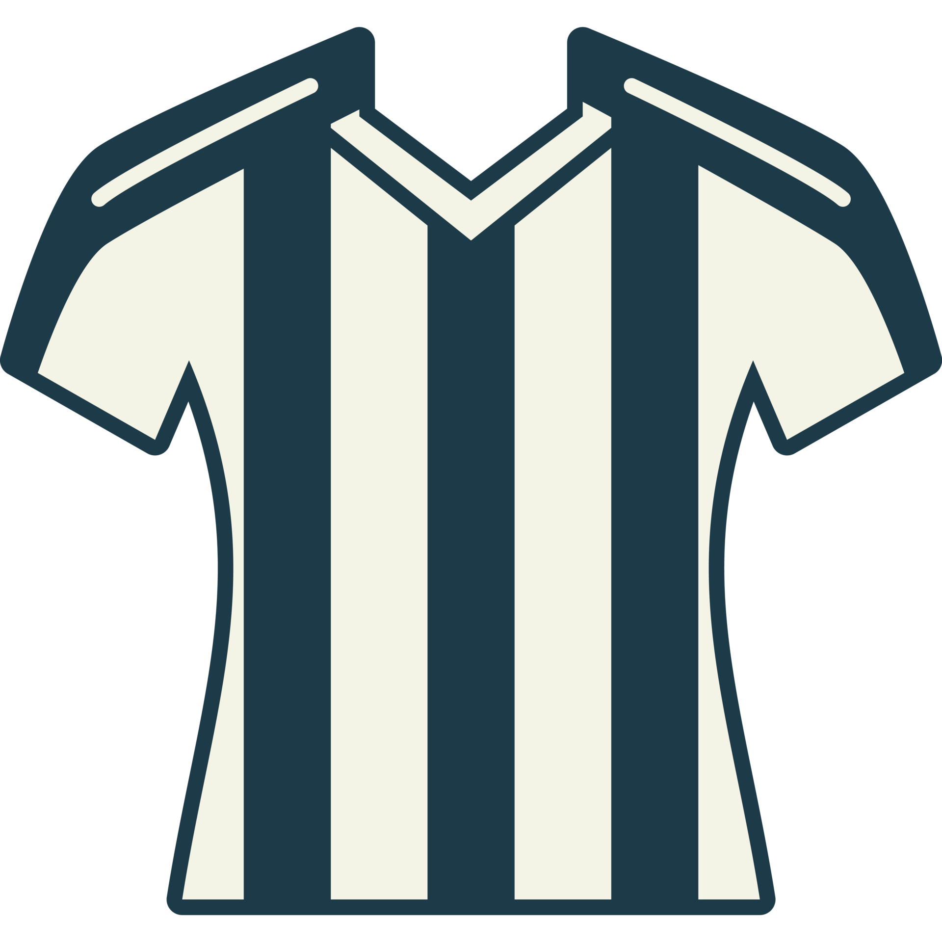 Soccer Referee T-Shirt PNG Images & PSDs for Download