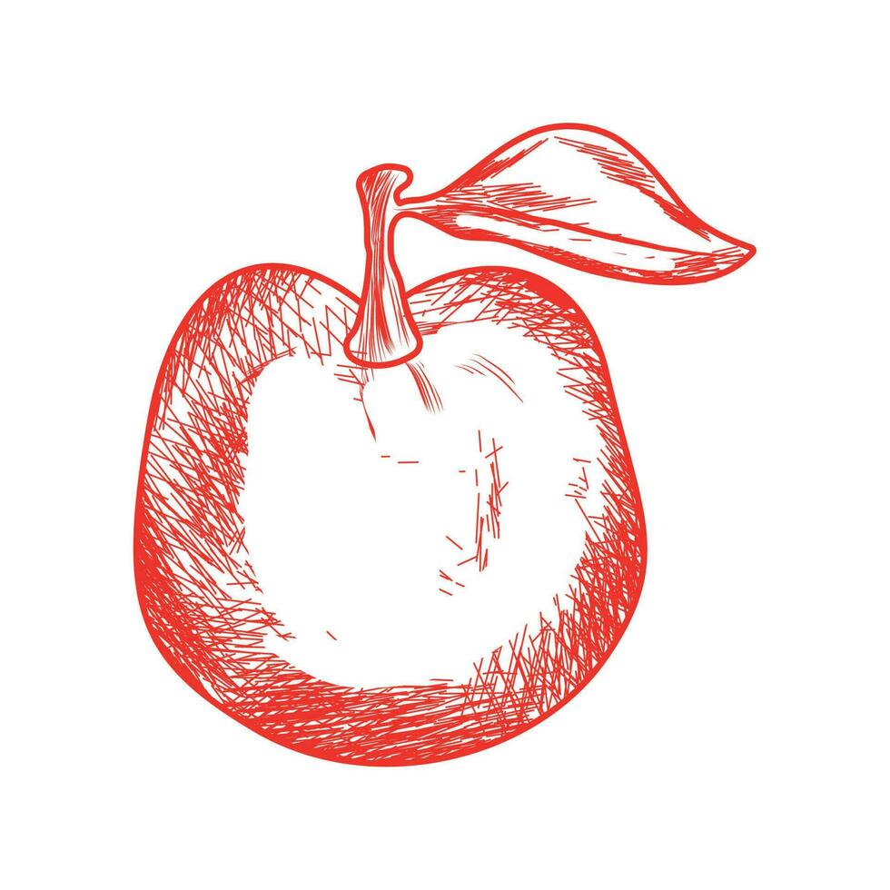 apple fruit food vector