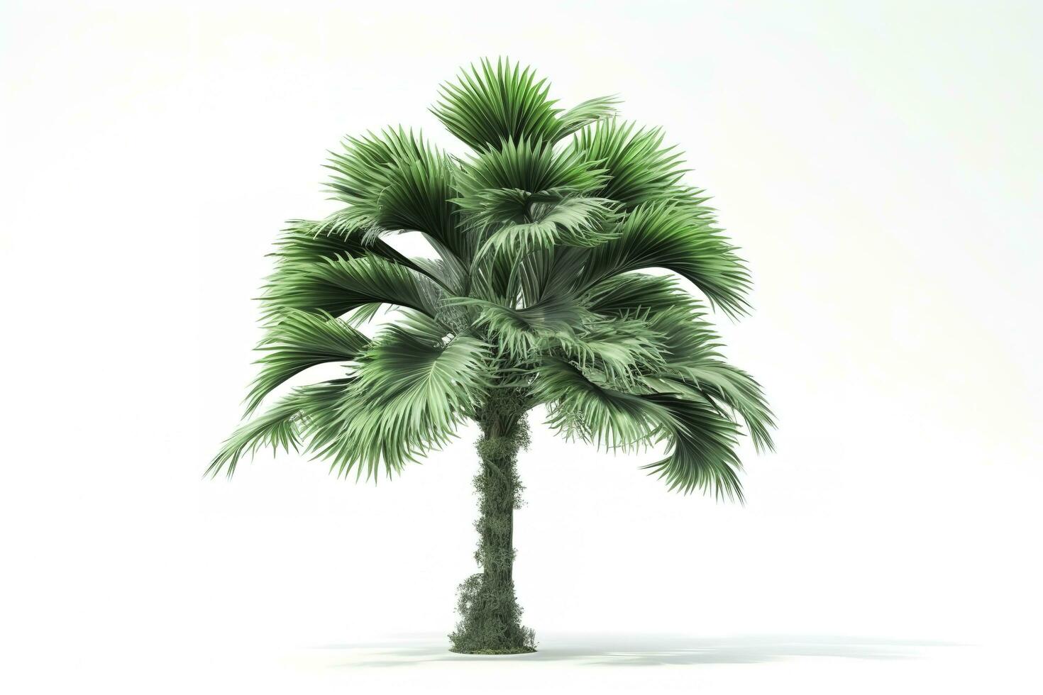 green palm tree isolated on white background , generate ai photo