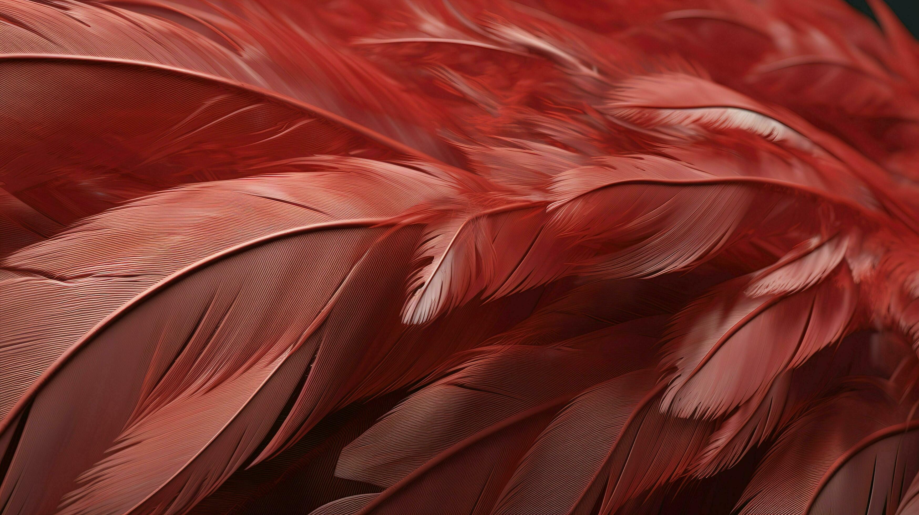 Download Red Feather wallpaper by Electric Art - 7e - Free on ZEDGE™ now.  Browse millions of pop…