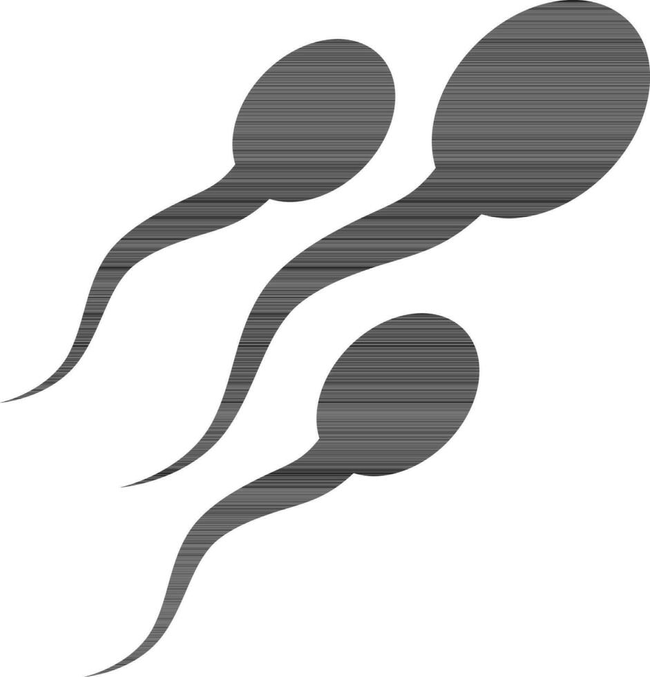 Sperm icon or symbol in black color. vector