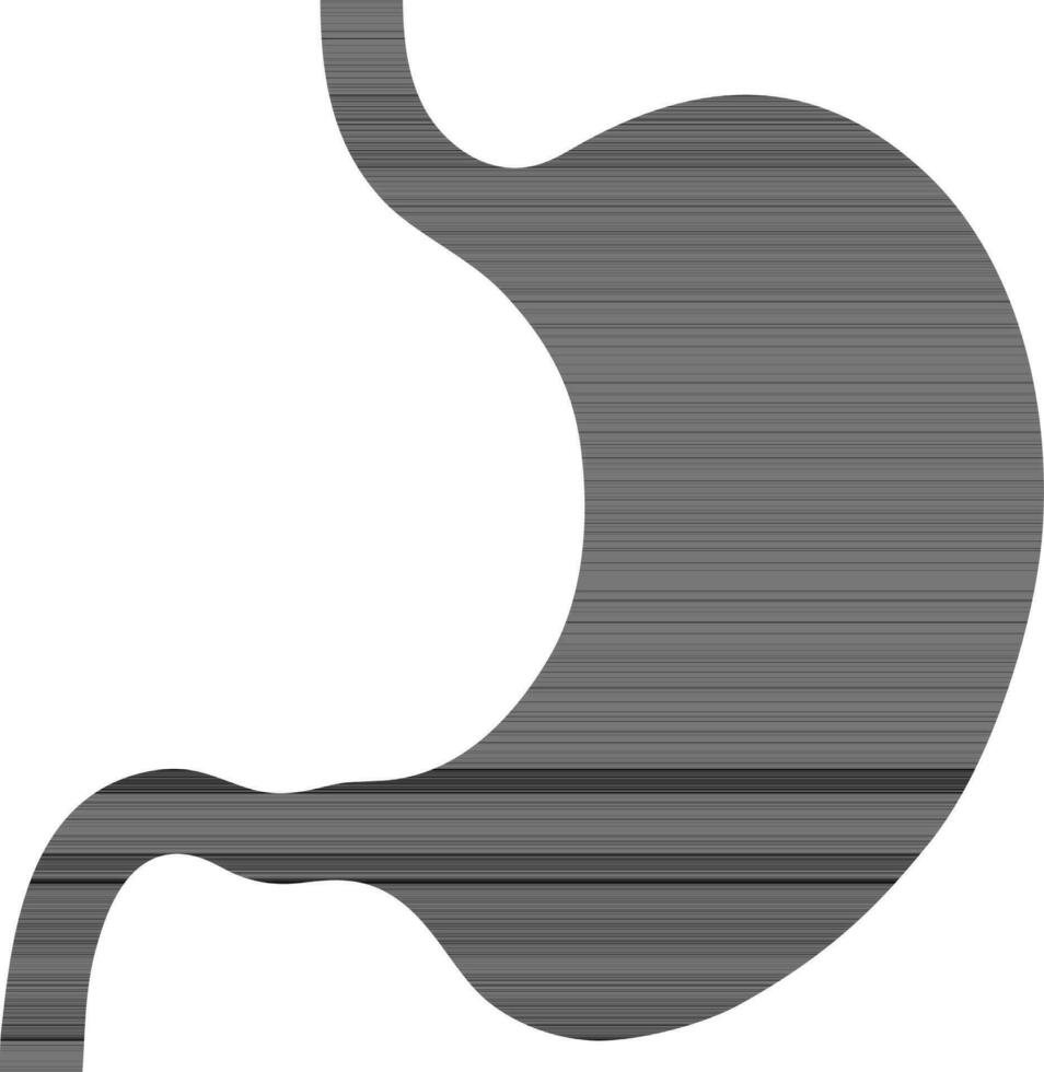 Stomach icon or symbol in black color. vector