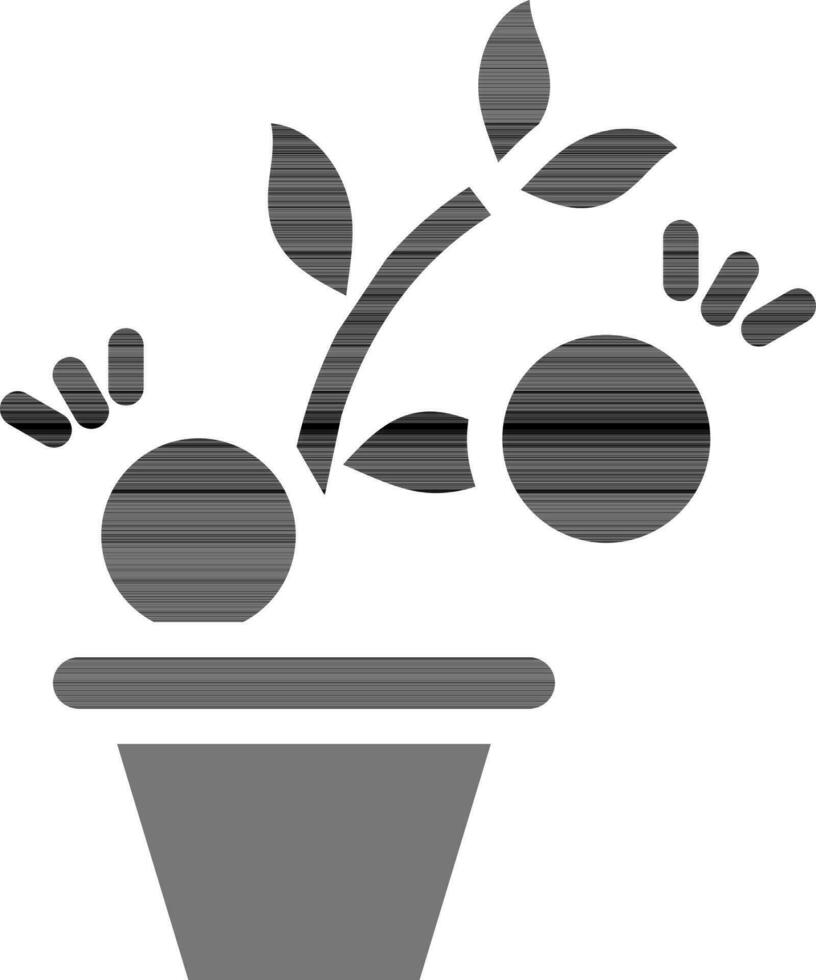 Illustration Of Money Plant Pot Icon In black and white Color. vector